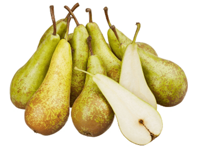 Алмұрт (Pyrus communis L.)
