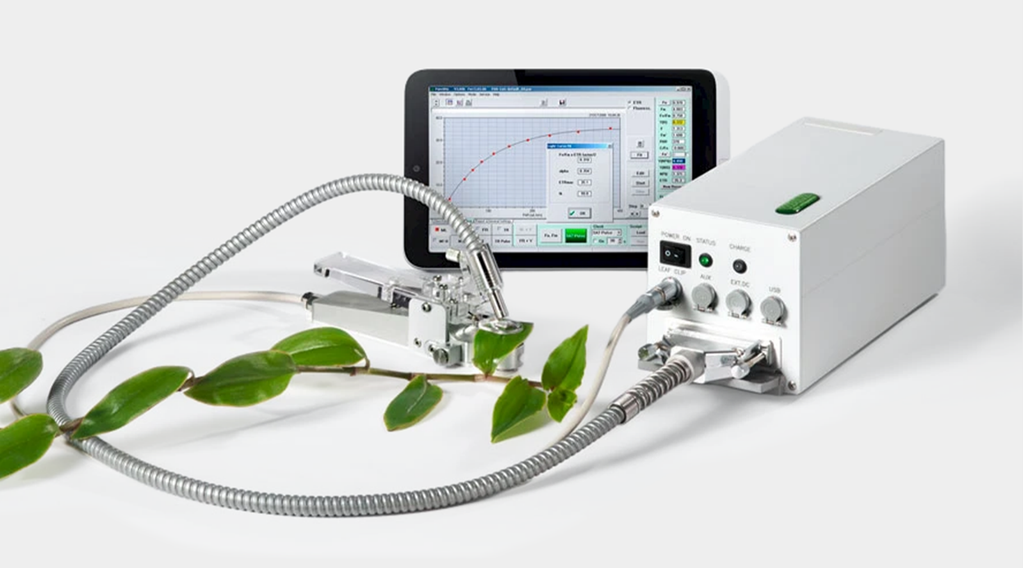 PAM fluorometer